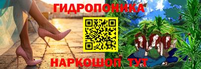индика Ливны