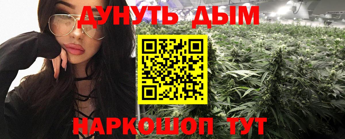 Марихуана планчик  Канабис тримм  Калуга  Каннабис Bruce Banner  Вход с VPN 